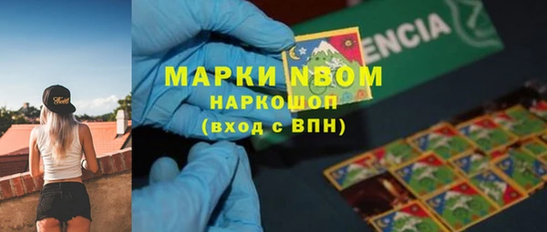Альфа ПВП Арсеньев
