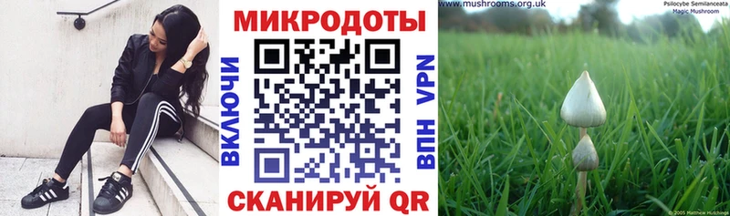 Галлюциногенные грибы мицелий  купить наркоту  Вихоревка 